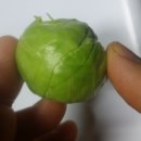 평화농장2 이미지