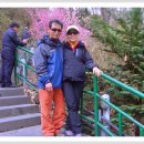 교하중학교 이미지