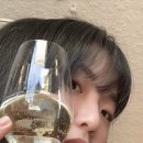 네스트케미칼 | 쿼카랑 놀다보니 어느새 하늘을 날고 있던 서호주 퍼스 여행기 EP.5