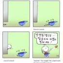 팡세 이미지