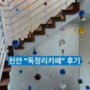 독정리 | 천안 독정리카페 후기 ☕ 작업하기 좋은 감성카페 추천