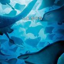 도리네일 - 남구 중앙대로32길 31 | 도리네일