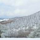 설화 이미지