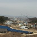 어유소류지 네이버블로그