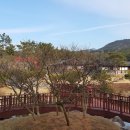 성기동 이미지