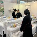 캣츠홈 | 2026 부산 궁디팡팡캣페스타 궁팡 다녀왔습니다! 후기 사진주의 [주차/부스사진들/품절템]