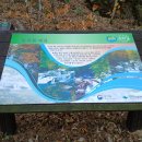 해인사 소리길 이미지