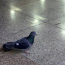 WR(인천광역시 서구)-[봉오대로]-하-12 | 자그마치 두 달의 일상 BLOGㅣ조금의 공지사항