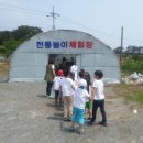 부성초등학교 이미지