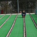 경주치즈학교 이미지