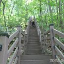 단산중학교 Daum카페