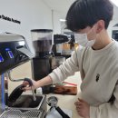 트루어스 이미지