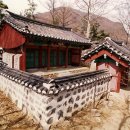 민충사 Daum카페