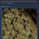 다크정보통신 이미지