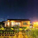 멍멍사우나 이미지