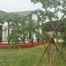 보금자리주유소 이미지