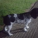 석장골여행 이미지