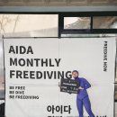 옐로우카드 설욕 성공!｜10월 월간프리다이빙 DYNB 화이트카드 후기
