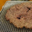 태양구이구이 이미지