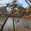 아르테모터스 | 수수께끼 풀이는 저녁식사 후에