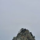 오륙도 상회 이미지