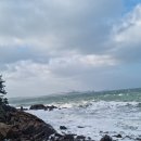 솔향기 | 바닷바람 속 태안 솔향기길 겨울산행 후기