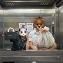 미광청과 | W1. 양가부모님 첫인사 선물