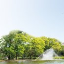 기업도시롯데공인중개사사무소 이미지