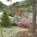 구수골로 이미지