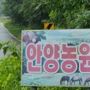 자연속에영농조합법인 이미지