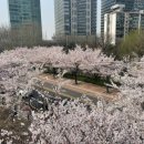 이디야여의나루역점 이미지