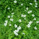 청원농장 이미지