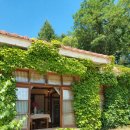 이효석문화예술촌 이미지