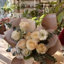 타티아르 이미지