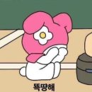 보나쿠 네이버블로그