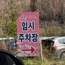 거창-북상-3 | 거창 병곡마을 능수벚꽃 2026 실시간 현황 | 주차·셔틀 정보 총정리