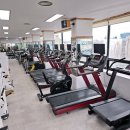 푸른휘트니스 이미지