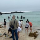 신기초등학교2 이미지