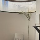 코르브(CORVE) 이미지
