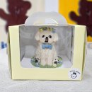 알로하 페키니즈 이미지