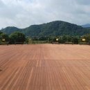 금호강8 이미지