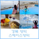 스페이스 영덕 | 경북 영덕 오션뷰 풀빌라 스페이스영덕(애견동반, 카라반, 매점)