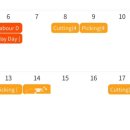 일한농장 | 호주워홀 | 세컨따려고 딸기농장에서 5개월 일한 후기; 돈을 얼마나 벌었나…