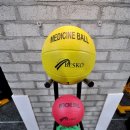 더 머슬짐 이미지