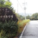 피노키오자연휴양림 티스토리
