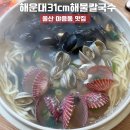 울산 야음동 수암시장 해장 맛집 해운대 해물칼국수 가족외식 밥집