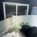 온플릭 디테일링 이미지