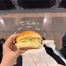 (주)시골애 | 2026 밍송하 제주여행 our own summer / 날씨요정들의 등장이라...