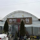 한빛 꽃농원 이미지