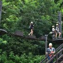 불암산더불어숲 이미지